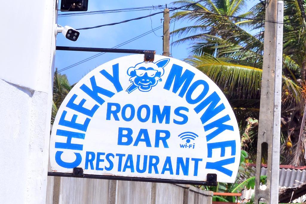 Hotel Cheeky Monkey Surf Camp Weligama Zewnętrze zdjęcie